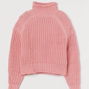 H&M pink knit turtleneck sweater